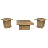 Devar 3-piece Square Coffee and End Table Set Mango - 708068-S3