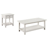 Payne 2-piece Coffee and 1-drawer End Table Set White - 710558-S2