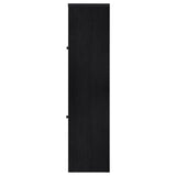 Denison 67-inch 2-door Media Tower Storage Cabinet Black - 720224