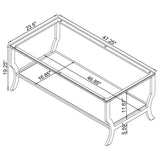 Saide Rectangular Glass Top Coffee Table Chrome - 720338