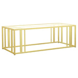 Adri Rectangular Glass Top Coffee Table Matte Brass - 723608