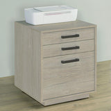 Loomis 3-drawer Home Office File Cabinet Whitewashed Grey - 805882