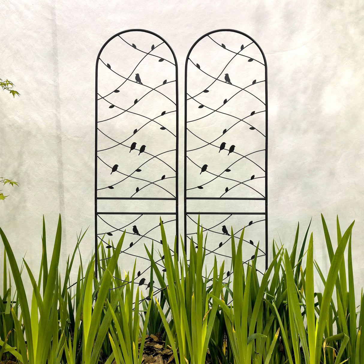Garden Rustproof Trellis For Climbing Plants