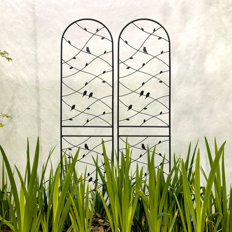 Garden Rustproof Trellis For Climbing Plants