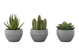 Artificial Succulent Plants (Set of 3)