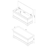 Pablo Cedar Chest Warm Brown - 900022