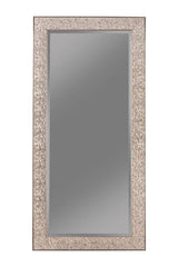 Rollins 32 x 66 Inch Rectangular Floor Mirror Silver - 901997
