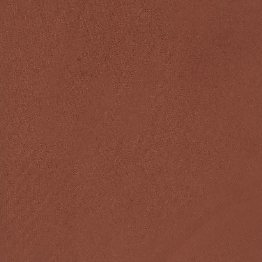 Liana Upholstered Roll Arm Accent Armchair Rust Orange - 903150