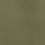 Myernick Velvet Upholstered Swivel Accent Chair Olive - 903229