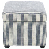 Winter Upholstered Hydraulic Lift Top Storage Ottoman Grey - 904138