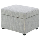 Winter Upholstered Hydraulic Lift Top Storage Ottoman Grey - 904138