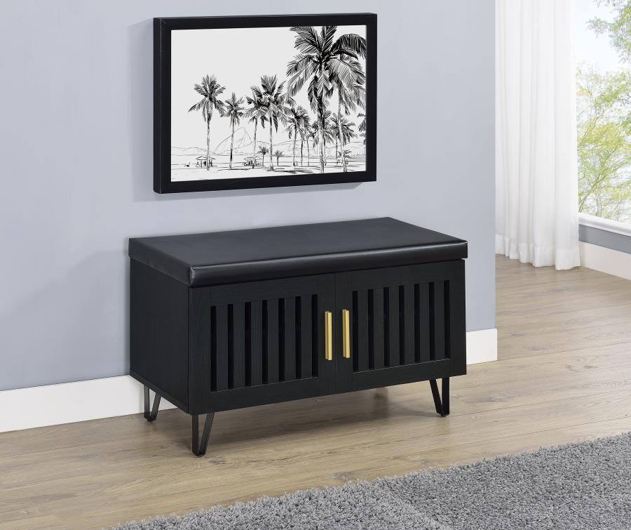 Brixton 2-door Padded Entryway Shoe Storage Bench Black - 915152