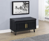 Brixton 2-door Padded Entryway Shoe Storage Bench Black - 915152
