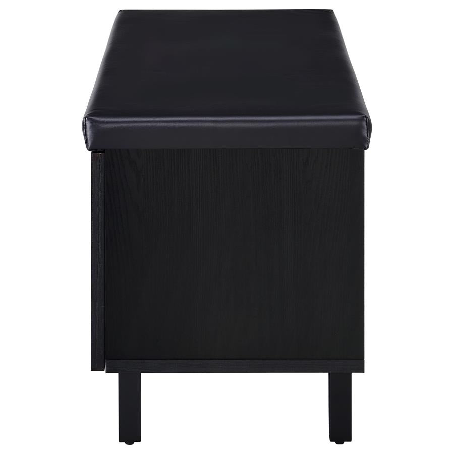 Brixton 2-door Padded Entryway Shoe Storage Bench Black - 915152