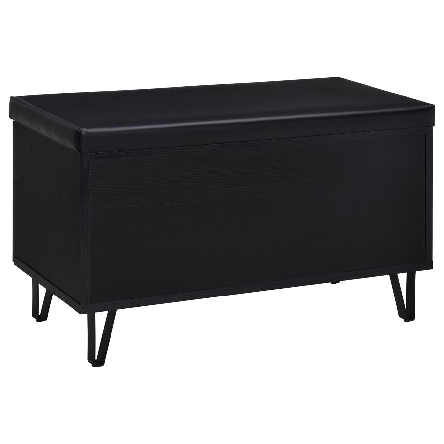 Brixton 2-door Padded Entryway Shoe Storage Bench Black - 915152