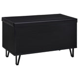 Brixton 2-door Padded Entryway Shoe Storage Bench Black - 915152