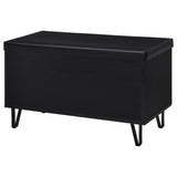Brixton 2-door Padded Entryway Shoe Storage Bench Black - 915152