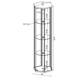 Zahavah 4-shelf Hexagonal Clear Glass Curio Cabinet Black - 950276