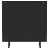 Dalia 2-door Accent Storage Cabinet with Shelving Black - 950385