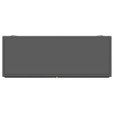 Dalia 2-door Accent Storage Cabinet with Shelving Black - 950385
