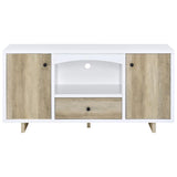 Dalton 2-door Storage Cabinet White and Distressed Pine - 950405