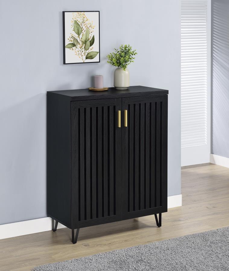 Brixton 2-door Entryway Shoe Storage Cabinets Black - 950422