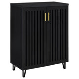 Brixton 2-door Entryway Shoe Storage Cabinets Black - 950422