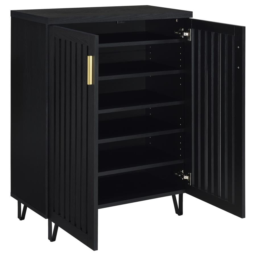 Brixton 2-door Entryway Shoe Storage Cabinets Black - 950422