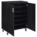Brixton 2-door Entryway Shoe Storage Cabinets Black - 950422