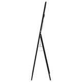 Windrose 28 x 67 Inch Tempered LED Standing Mirror Black - 960962