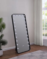 Canton 32 x 71 Inch LED Standing Mirror with Speakers Black - 961577