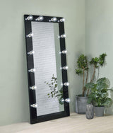 Zayan 32 x 71 Inch Floor Mirror LED Lighting Black Gloss - 969557