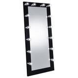Zayan 32 x 71 Inch Floor Mirror LED Lighting Black Gloss - 969557