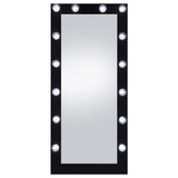 Zayan 32 x 71 Inch Floor Mirror LED Lighting Black Gloss - 969557