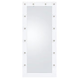 Zayan 32 x 71 Inch Floor Mirror LED Lighting White Gloss - 969558