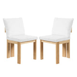 Indoor Dining Chair (Set of 2)
