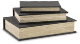 Jolina Box (Set of 3) - A2000489