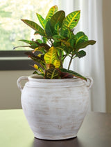 Meadie Vase - A2000787