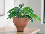Orban Vase - A2000886