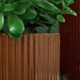 Avalyah Vase (Set of 2) - A2900023