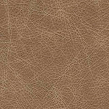 Bradney Swivel Accent Chair - A3000323