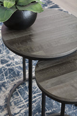 Briarsboro Accent Table (Set of 2) - A4000231