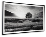 Deborland Wall Art - A8000341