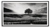 Deborland Wall Art - A8000341