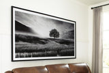 Deborland Wall Art - A8000341