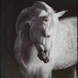 Archerwick Wall Art - A8000409