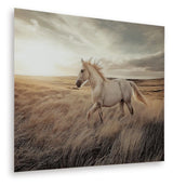 Errolville Wall Art - A8000489