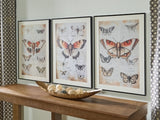 Jossletts Wall Art (Set of 3) - A8000490