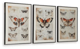 Jossletts Wall Art (Set of 3) - A8000490