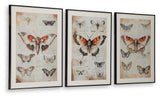 Jossletts Wall Art (Set of 3) - A8000490
